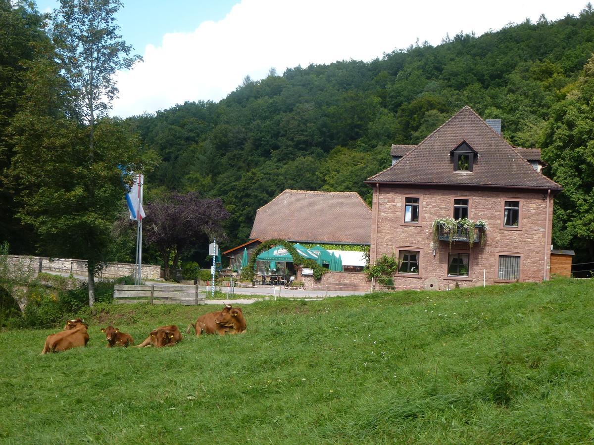 Hotelgasthof Buchenmuehle Lohr Dış mekan fotoğraf