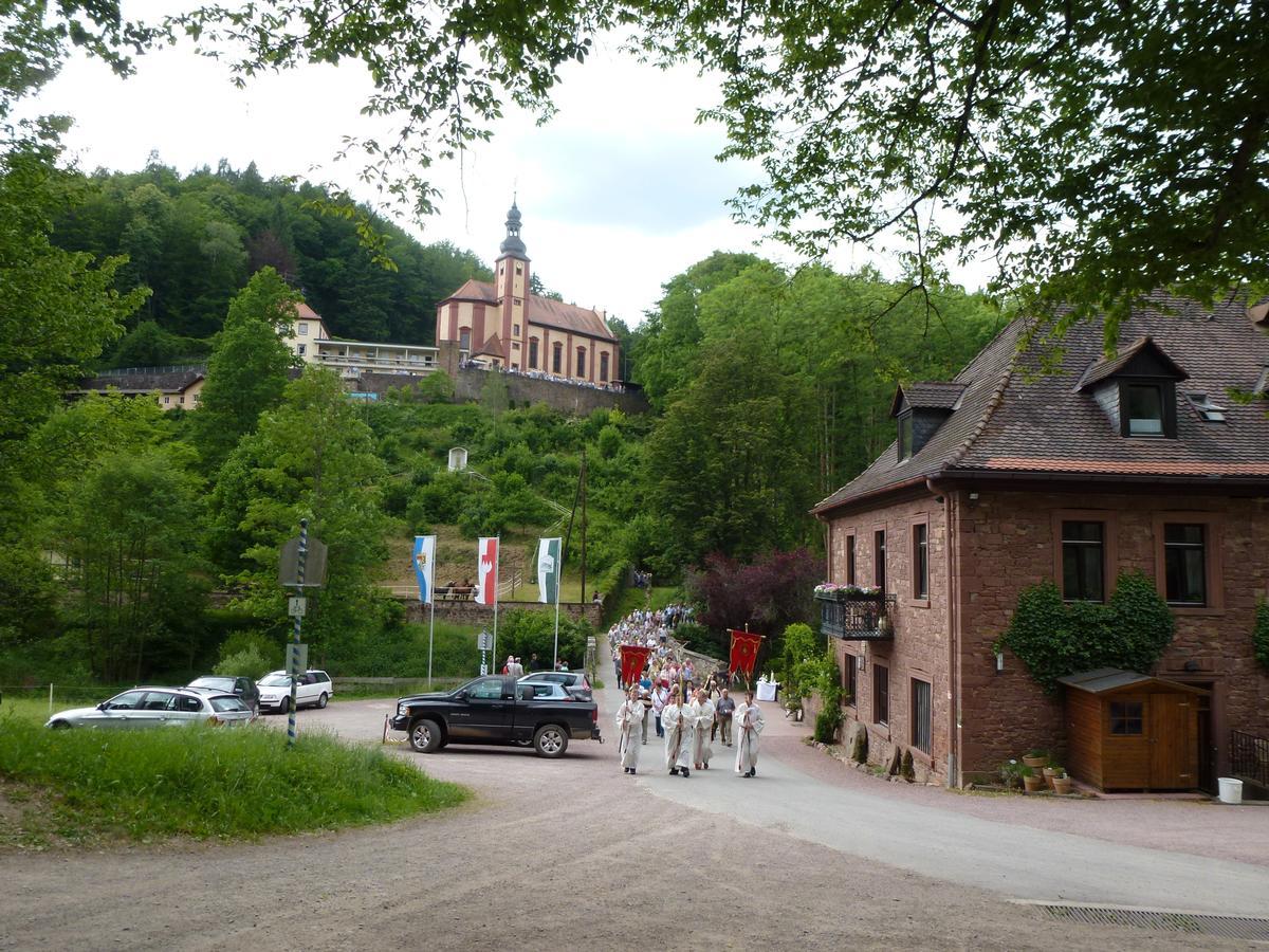 Hotelgasthof Buchenmuehle Lohr Dış mekan fotoğraf